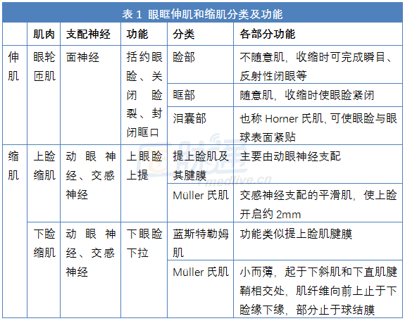 图说解剖"上睑下垂"的定位诊断