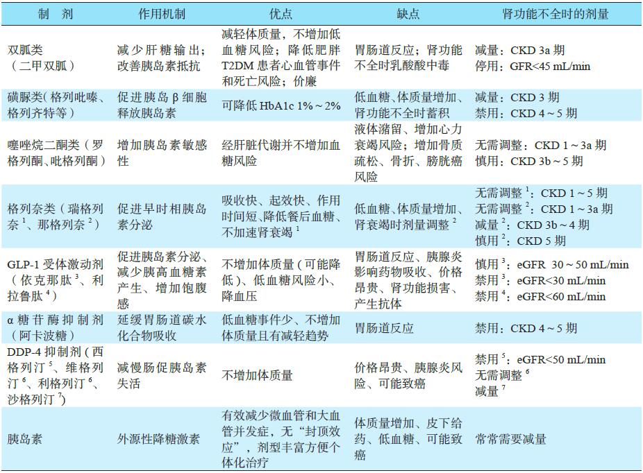 糖尿病肾病管理:各类降糖药物的优缺点知多少?