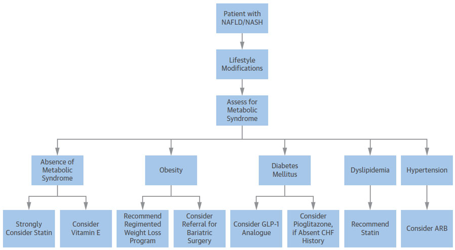 综述:非酒精性脂肪肝与心血管疾病之间错综复