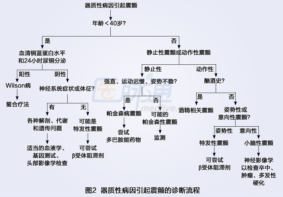 头发肩膀膝盖脚歌曲谱_头发肩膀膝盖脚的图谱(3)