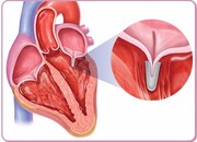 医脉通 - 感知世界医学脉搏,助力中国临床决策