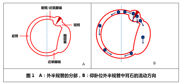 rolltest眼震一侧向地一侧离地,这是耳石症吗?丨"晕"筹帷幄