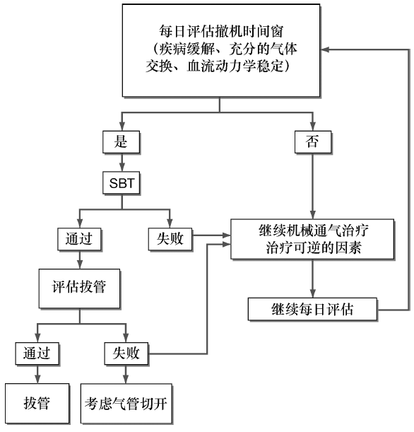 图19-2 指导正在考虑撤机患者的日常管理方法的流程图