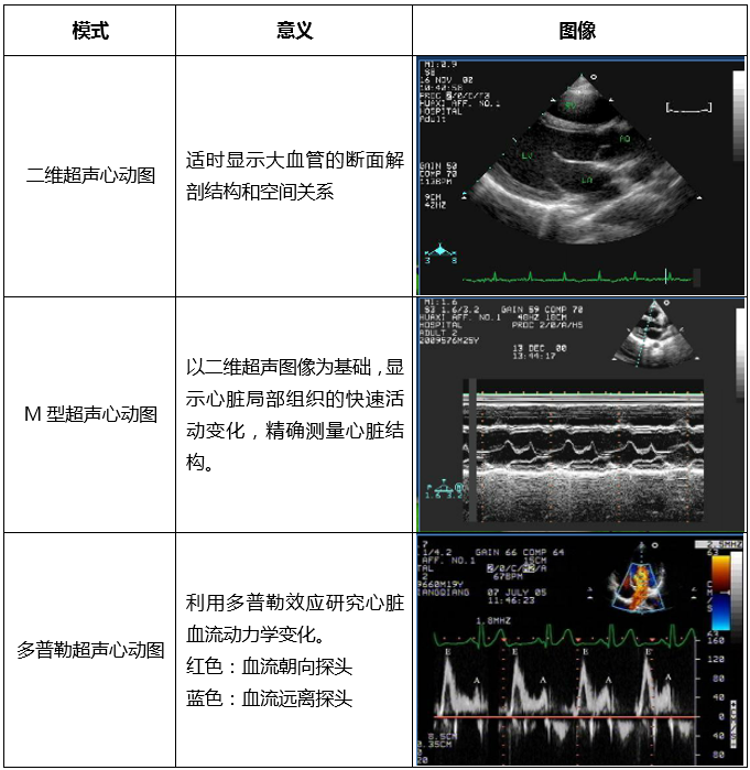 表2 经胸超声心动图的常用模式和图像