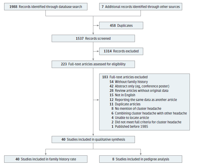 增值性评价系统_增值性评价_增值性评价系统