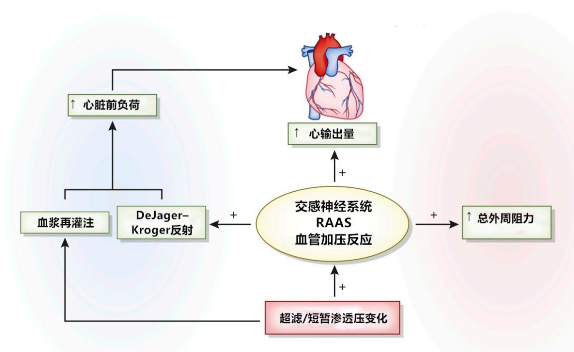 血压的原理_图2-10 血压的调节机制(2)