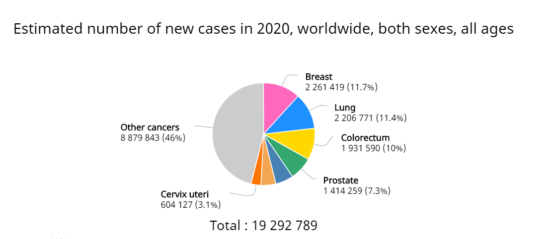 2020世界新增人口_世界城市人口排名2020