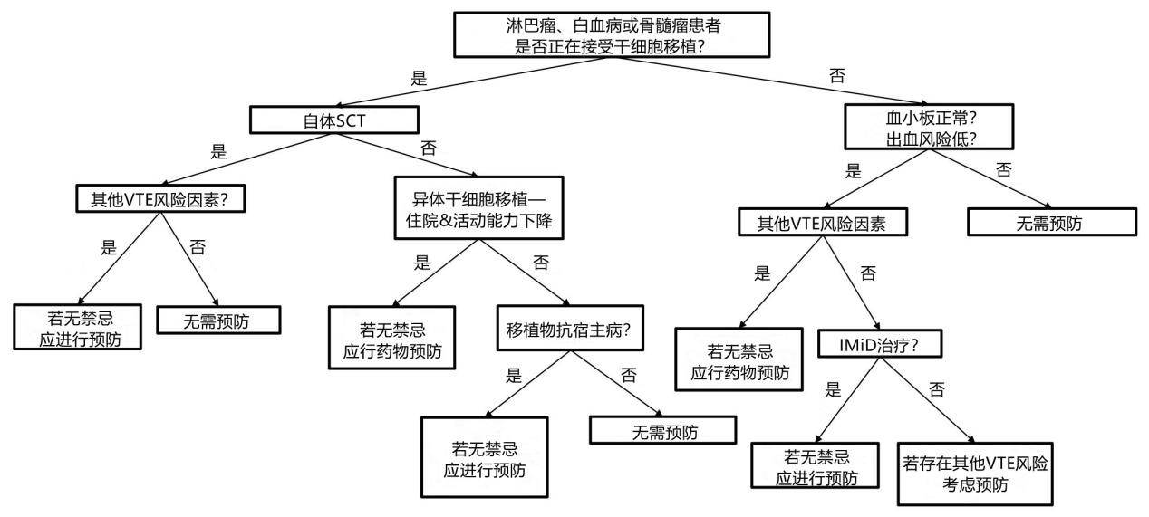 血液系统恶性肿瘤中vte预防流程图[8]