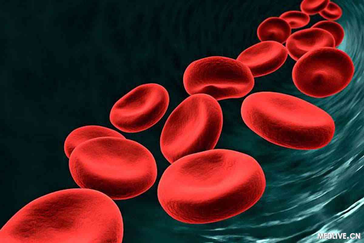 sickle cell vasoocclusion and rescue in a microfluidic device.