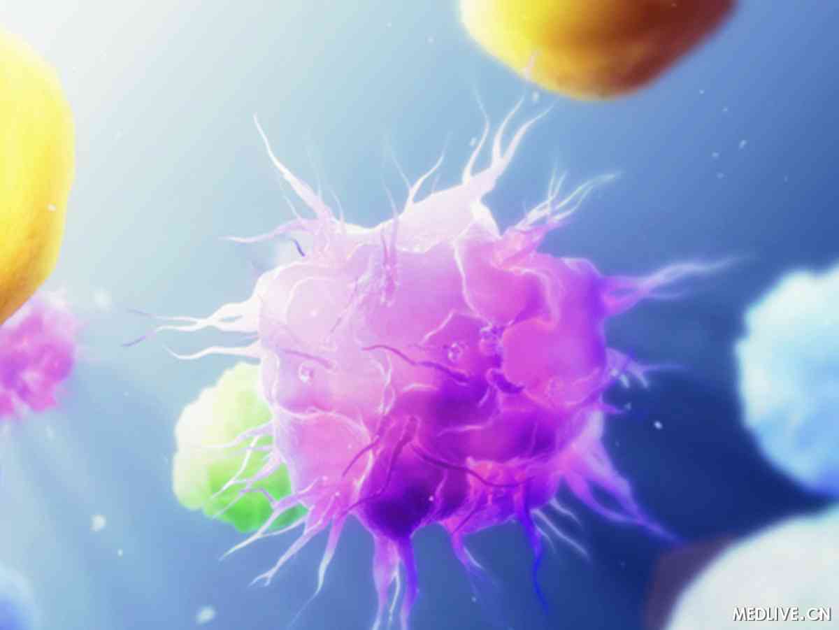 免疫疗法有望治愈复发性急性淋巴细胞白血病