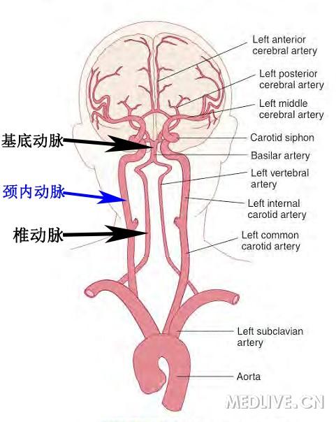 两种不同术式治疗单侧大脑中动脉栓塞的临床疗效比较(新)