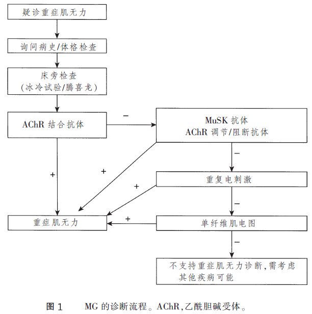 重症肌无力的诊断和治疗