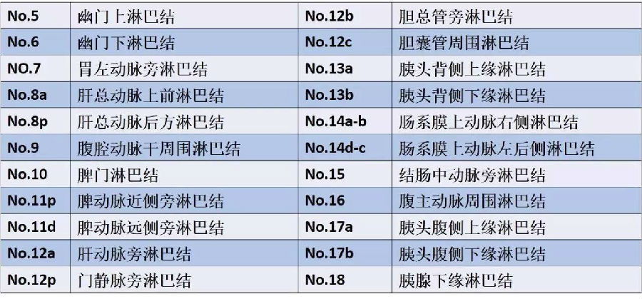 结肠淋巴结分组图片