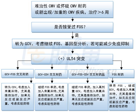 blood:干细胞移植耐药巨细胞病毒感染的治疗(下)