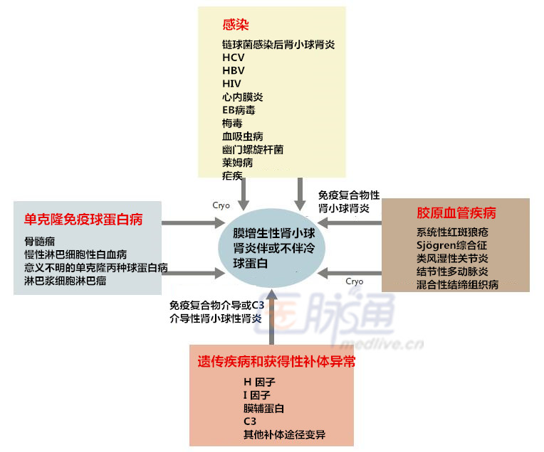 总结:膜增生性肾小球肾炎的病因和治疗