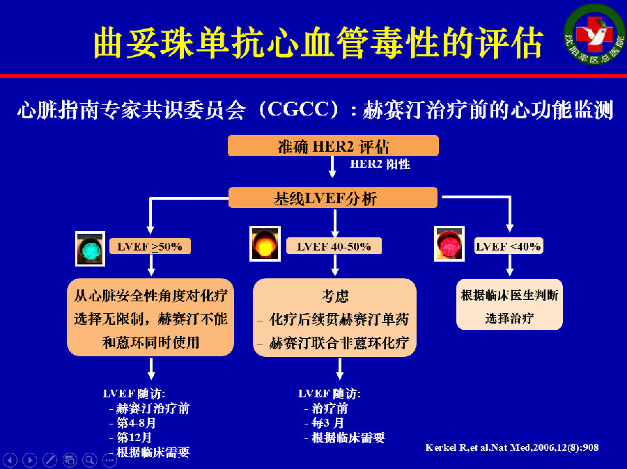 性的机制及处理策略|csmo2017_曲妥珠单抗