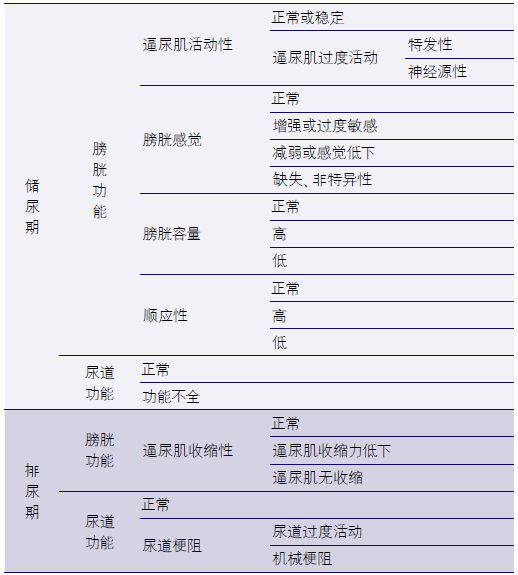 膀胱 【转载】 诊断psnb包括以下3点:①卒中诊断的确立;②存在下尿路