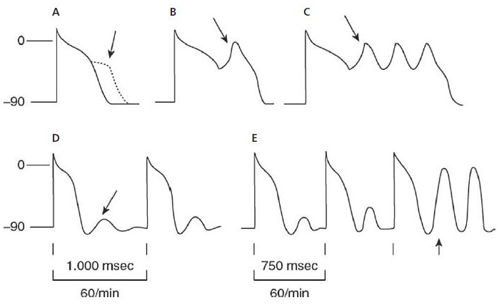 是时候学点儿电生理基础了!