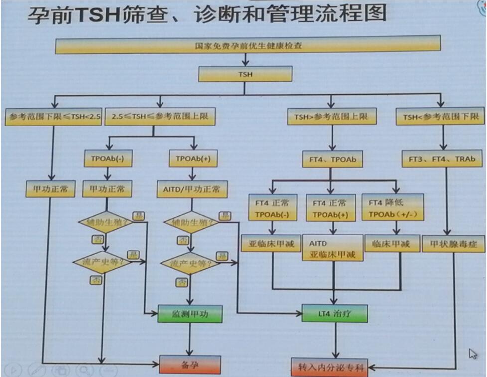 孕前tsh篩查,診斷和管理流程圖