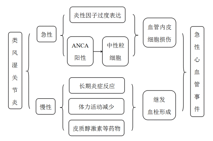 图2  类风湿性关节炎导致心血管事件的机制