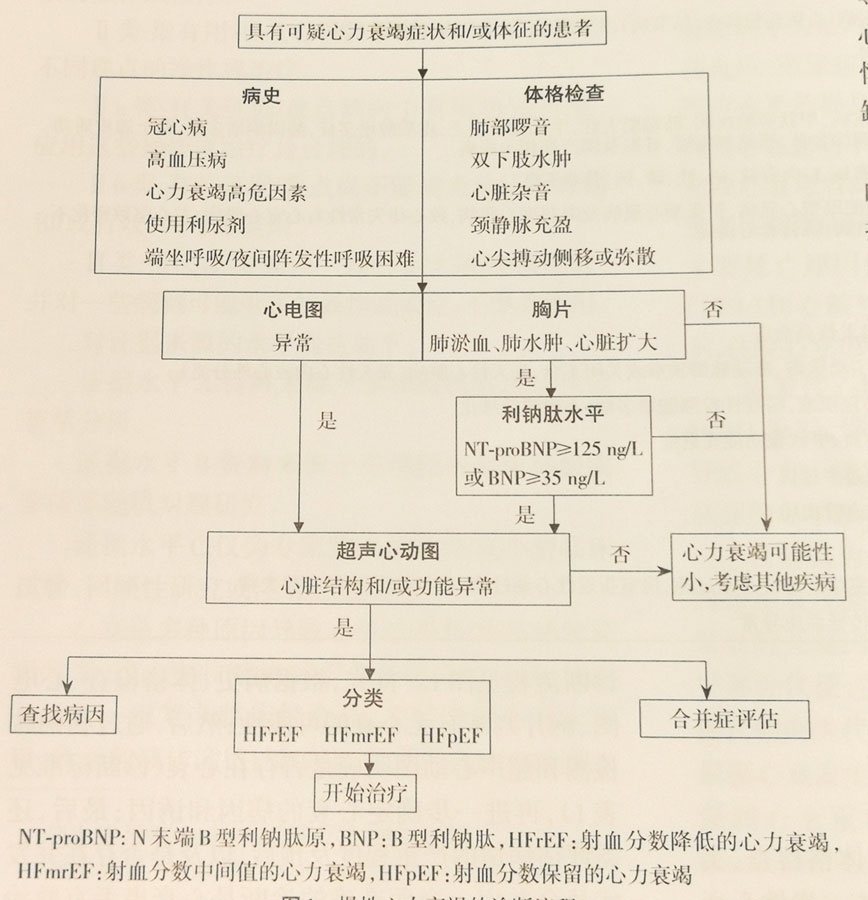 《2018中国心力衰竭诊断和治疗指南》正式发布,精彩亮点抢先看!