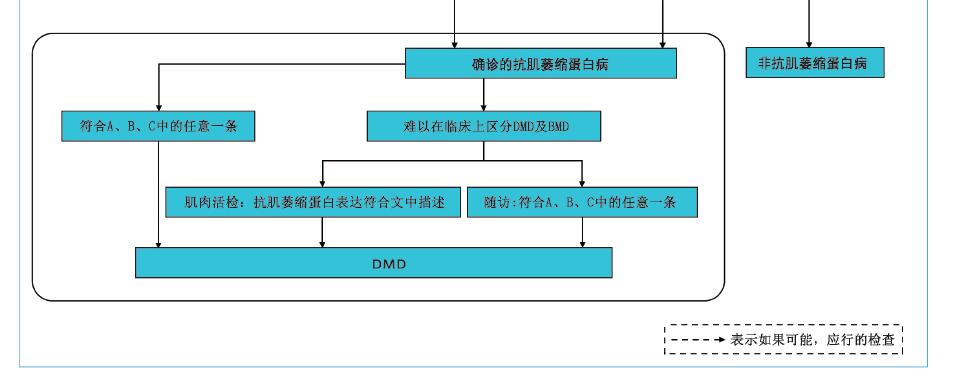 dmd患者的诊断流程图
