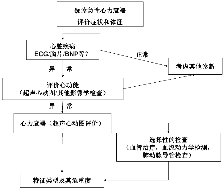 图2 急性心衰的诊断流程