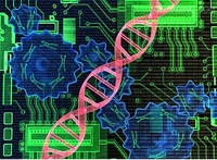 第23届亚太地区肝脏研究协会（APASL）年会