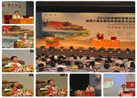 2012年北京国际疼痛论坛