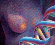 第36届圣安东尼奥乳腺癌会议（SABCS 2013）