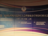 第二届国际呼吸内镜诊疗大会