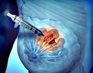 第十五届临床肿瘤学大会