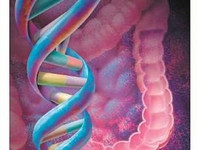 第十五届临床肿瘤学大会