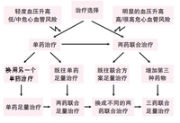 2015欧洲高血压学会科学年会（ESH2015）