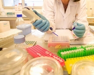 2015ASCO泌尿生殖系统肿瘤研讨会