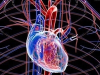 2014年美国心脏病学会年会（ACC2014）