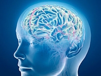 2014年世界心脏病学大会（WCC）