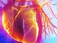 2015年欧洲心脏病学会心衰年会（ESC-HF2015）