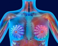 2014美国临床肿瘤学会(ASCO)年会