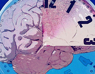 2014年中国脑卒中大会