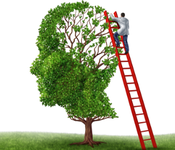 2014年中国脑卒中大会