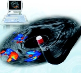 2015年消化道疾病周（DDW）