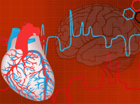 2014年中国脑卒中大会