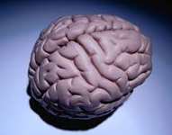 第六届北京安贞脑血管病论坛