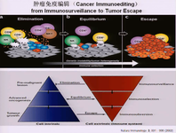 2014年临床肿瘤学新进展学术研讨会暨2014年Best of ASCO 中国会议