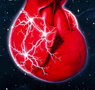 2014欧洲心脏病学会年会（ESC2014）