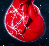 2014欧洲心脏病学会年会（ESC2014）