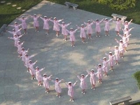 第十七届全国临床肿瘤学大会暨2014年CSCO学术年会