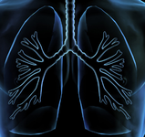 第十七届全国临床肿瘤学大会暨2014年CSCO学术年会