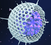 第十七届全国临床肿瘤学大会暨2014年CSCO学术年会